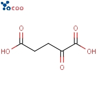 2-oxo-Pentanedioic acid