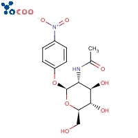 4-Nitrophenyl-2-acetamido-2-deoxy-beta-d- glucopyranoside