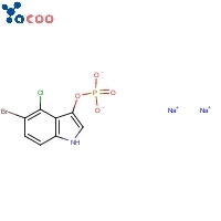 5-브로모-4-클로로-3-인돌릴인산이나트륨염
