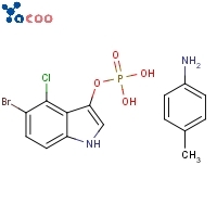 5- 브로 모 -4- 클로로 -3- 인돌 릴 포스페이트 p- 톨루이딘 염
