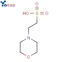  4-Morpholineethanesulfonic acid